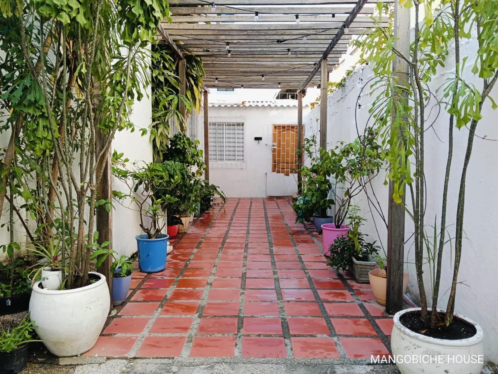 לינה וארוחת בוקר Cartagena Mango Biche - House מראה חיצוני תמונה